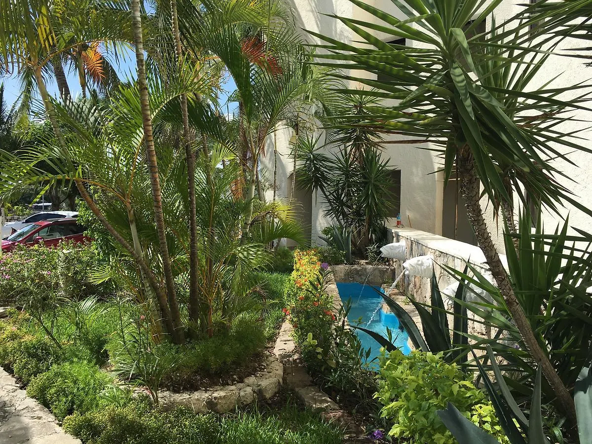 Cancun Plaza - Best Beach